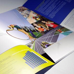 Portfolio Item